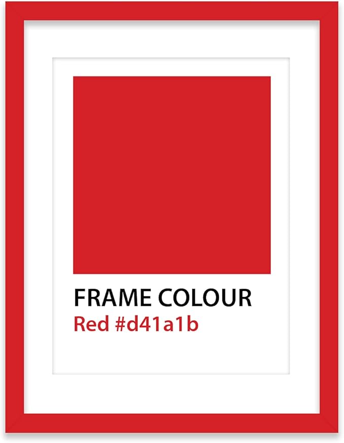 16" x 12" Red Frame