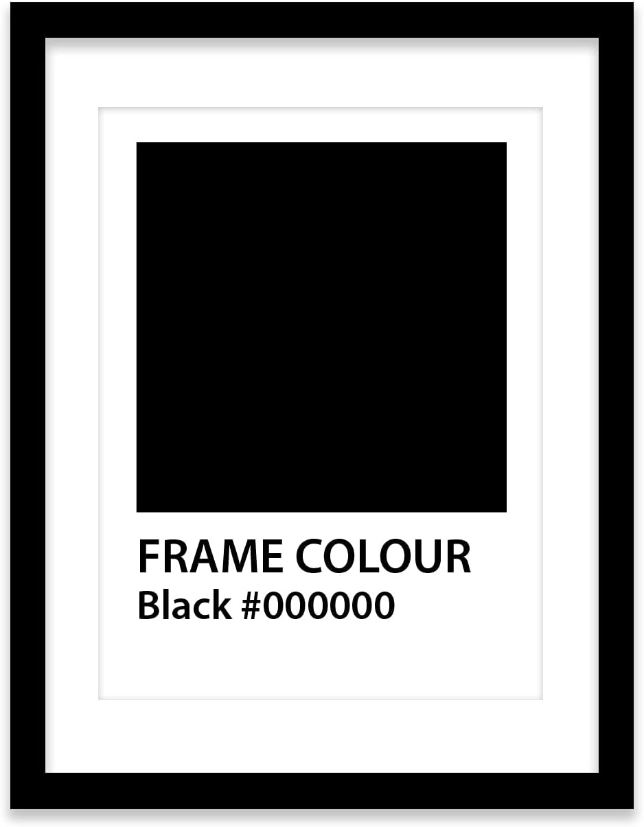 20" x 16" Black Frame